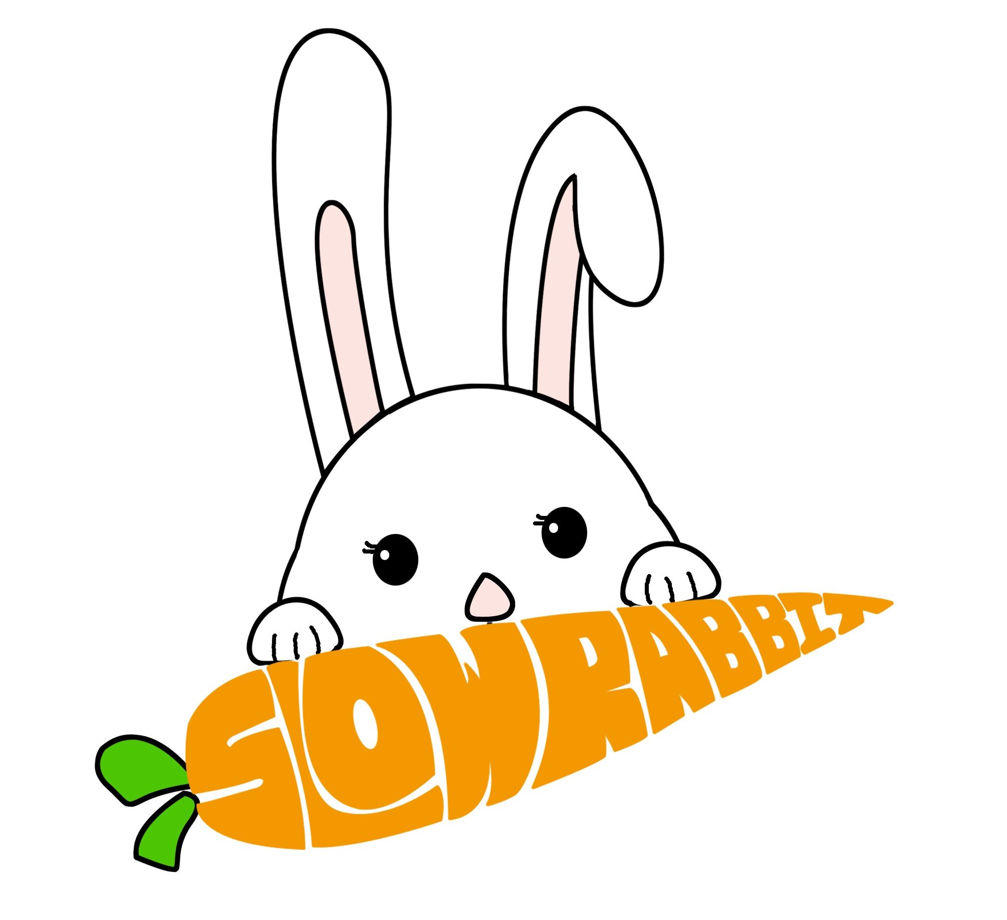 Slow Rabbit Chinese-English Books 慢兔双语童书
